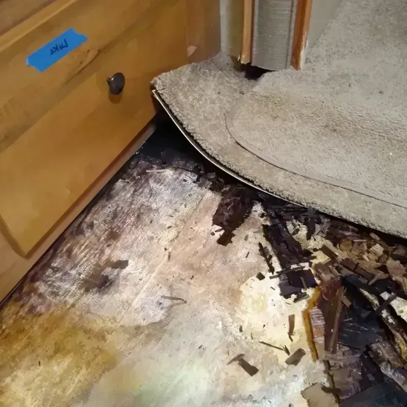 Wood Floor Water Damage in Ray County, MO